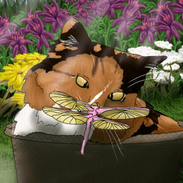 Kitty and a Dragonfly